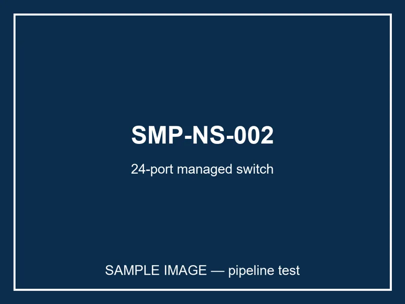 24-port gigabit managed switch