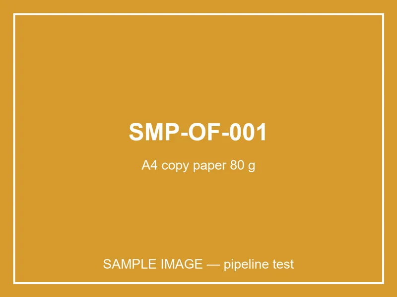 A4 copy paper 80 g